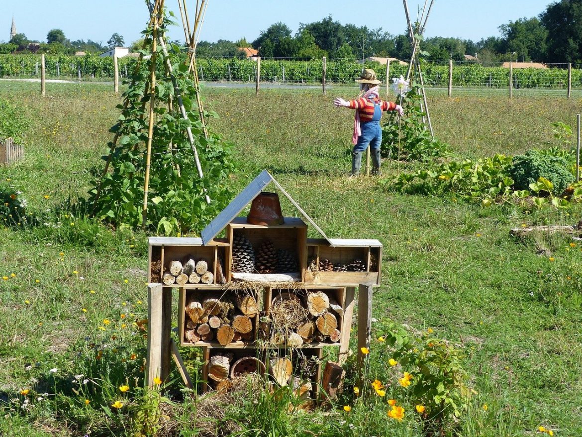 Permaculture : Tout savoir sur la permaculture – Zoom