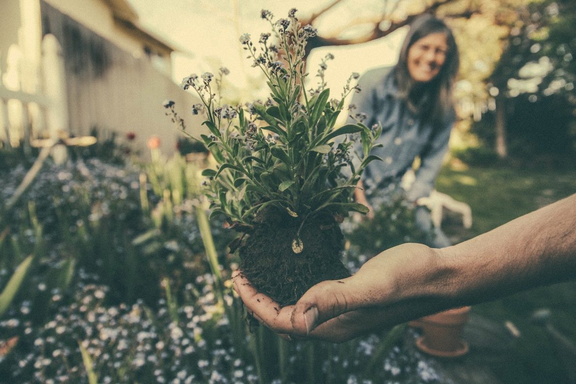 Décor fleuri : 5 façons d’utiliser les plantes dans le design